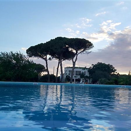 Tenuta Donnanna Agriturismo&Glamping غالاتوني المظهر الخارجي الصورة