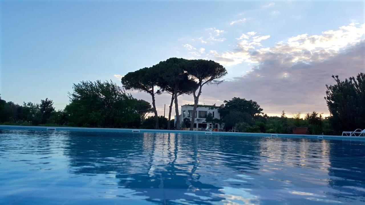 Tenuta Donnanna Agriturismo&Glamping غالاتوني المظهر الخارجي الصورة