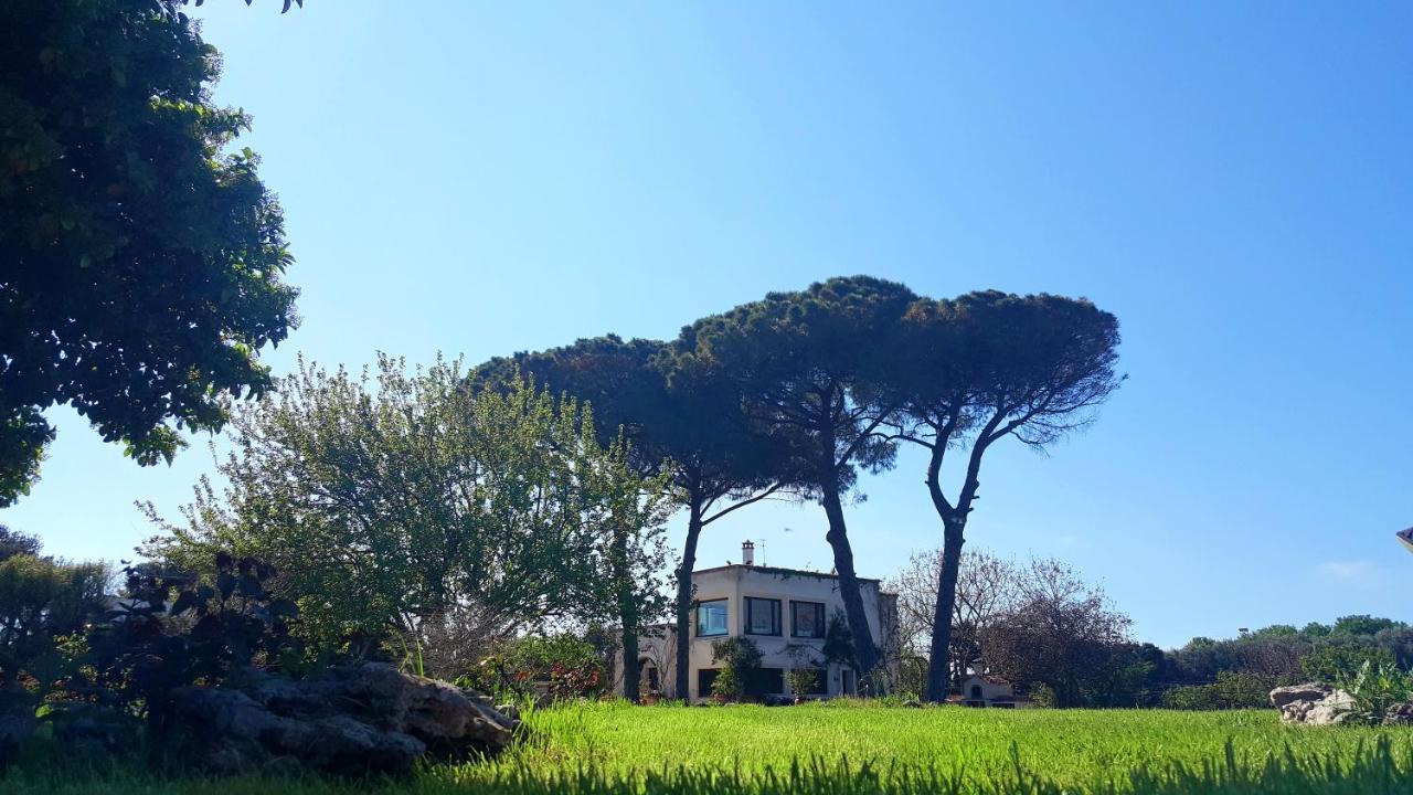Tenuta Donnanna Agriturismo&Glamping غالاتوني المظهر الخارجي الصورة