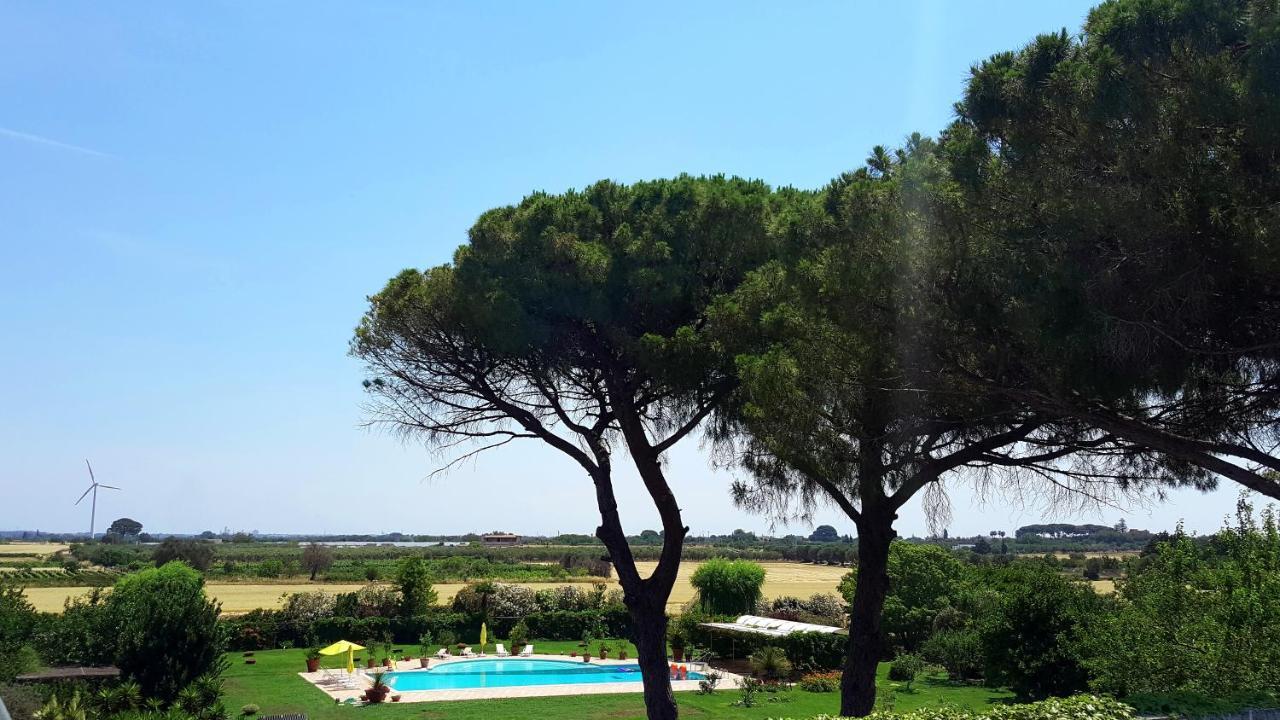 Tenuta Donnanna Agriturismo&Glamping غالاتوني المظهر الخارجي الصورة